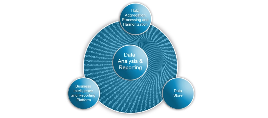 assement-process