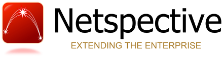 Netspective